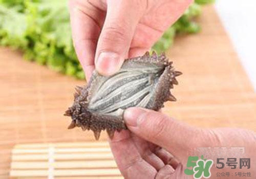 海參肚子里的筋能吃嗎？海參肚子里的筋吃了有什么作用？