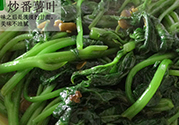 紅薯葉不能和什么一起吃？紅薯葉什么不能吃？