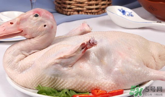 鴨肉可以放冰箱嗎？鴨肉放冰箱能保鮮多久？