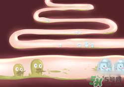 益生菌可以長(zhǎng)期吃嗎？益生菌什么時(shí)候吃比較好？