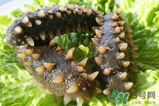 腎虛能吃海參嗎？吃海參對(duì)腎好嗎？