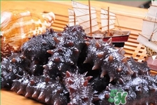 腎虛能吃海參嗎？吃海參對(duì)腎好嗎？