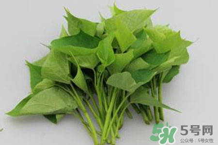 紅薯葉的營養(yǎng)價(jià)值 紅薯葉的功效與作用