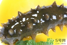 怎樣鑒別新鮮海參的好壞？干海參如何鑒別真假
