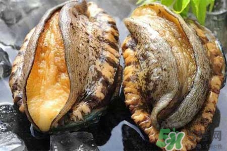 鮑魚能冷凍嗎？鮑魚可以放冰箱冷藏嗎？