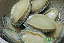 鮑魚死后可以放幾天？鮑魚死后多久不能吃？