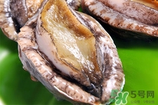 新鮮鮑魚可以放多久？活鮑魚怎樣存放時間更長？