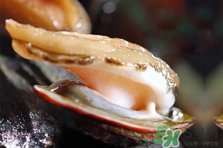 男人吃鮑魚能補腎嗎？腎虛能吃鮑魚嗎？