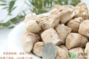 香菇根能吃嗎？香菇的根可以吃嗎？