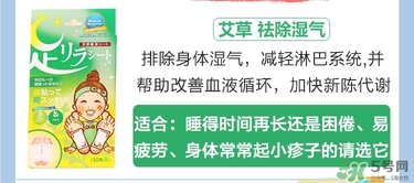 樹之惠足貼5款區(qū)別？樹之惠足貼哪款好用？