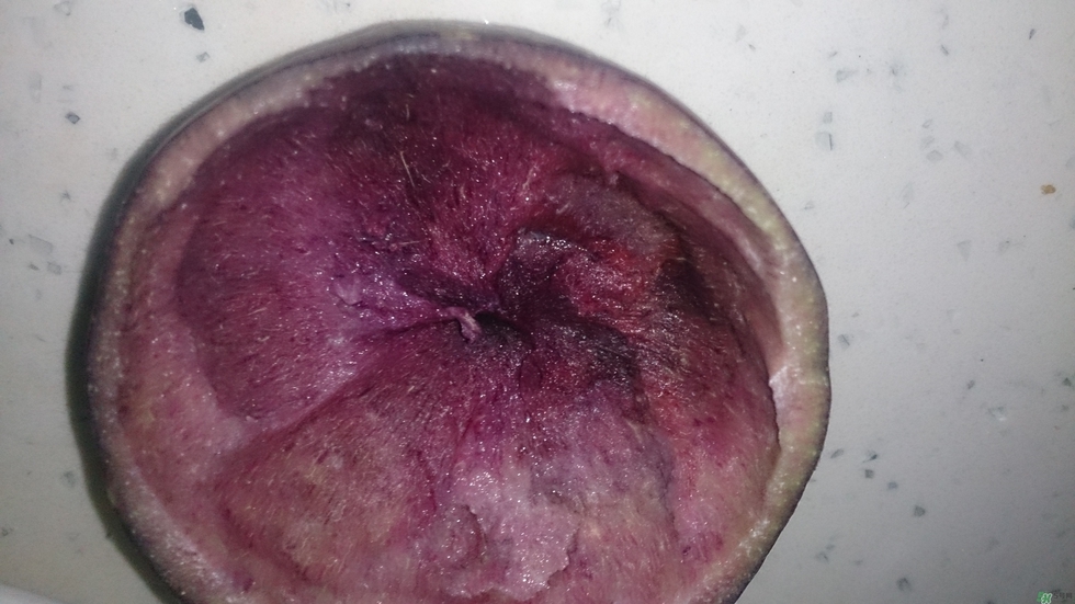 牛奶果怎么吃？牛奶果的功效與作用