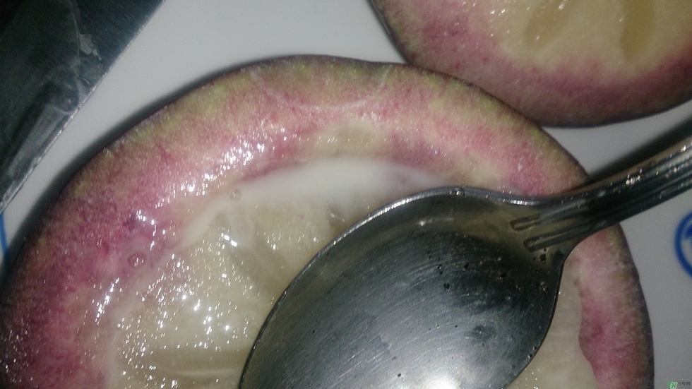 牛奶果怎么吃？牛奶果的功效與作用
