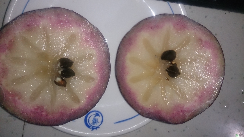 牛奶果怎么吃？牛奶果的功效與作用