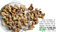 姬松茸的營(yíng)養(yǎng)價(jià)值 姬松茸的功效與作用