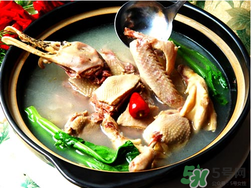 鴨肉和柿子能一起吃嗎？吃完鴨肉可以吃柿子嗎？