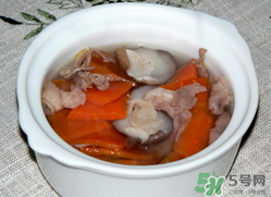 雞肉能和胡蘿卜一起吃嗎？雞肉和蘿卜可以一起吃嗎？
