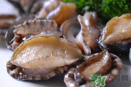 寶寶能吃鮑魚(yú)嗎？寶寶多大可以吃鮑魚(yú)？