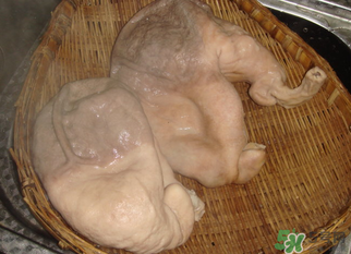 豬大腸怎么清洗？豬大腸怎么去臭味？