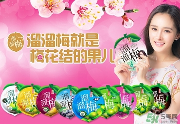 溜溜梅是梅花結(jié)的果嗎？溜溜梅的功效作用