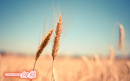 麥片什么牌子好？進(jìn)口麥片哪個(gè)牌子好吃