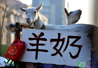 鮮羊奶怎么保存？鮮羊奶放冰箱能放多久？