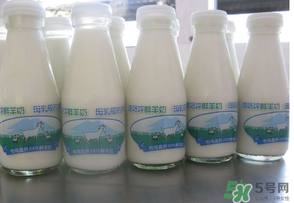 鮮羊奶可以直接喝嗎？鮮羊奶怎么喝最好？