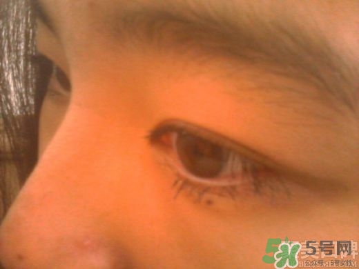 菲詩小鋪睫毛膏怎么樣？the face shop睫毛膏好用嗎？