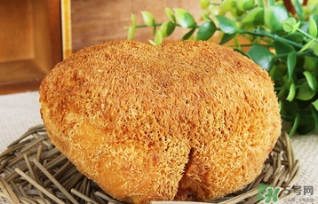 猴頭菇怎么吃？猴頭菇的功效與作用