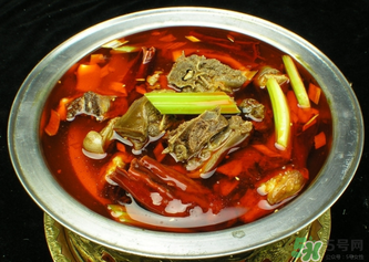 狗肉不能和什么一起吃？狗肉和什么相克？