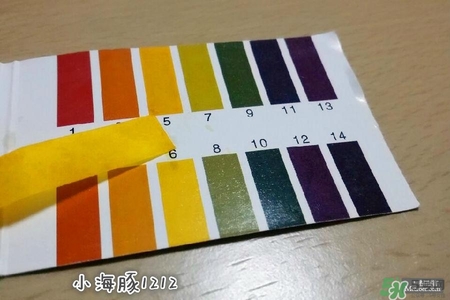 賽貝格哪里買？賽貝格哪里有專柜？