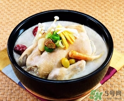 鴿子湯和雞湯哪個更有營養(yǎng)?鴿子湯和雞湯哪個更補(bǔ)