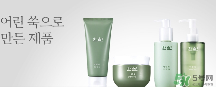 韓律艾草洗面奶多少錢？韓律艾草洗面奶專柜價格