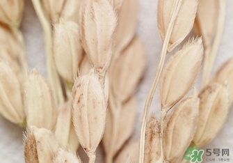 韓律適合什么膚質(zhì)？韓律適合敏感肌膚嗎？