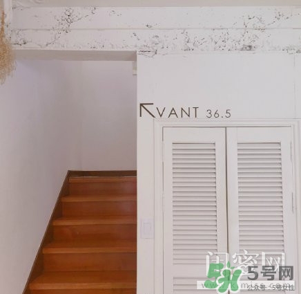 vant氣墊粉底霜怎么樣？vant36.5粉霜粉膏好用嗎？