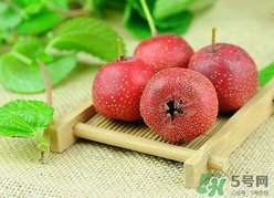 新鮮山楂什么時(shí)候上市？新鮮山楂什么時(shí)候成熟？