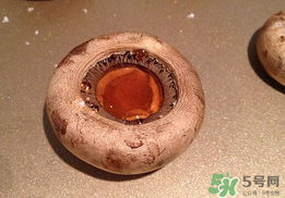 口菇變黑還能吃嗎？口菇的營養(yǎng)價(jià)值