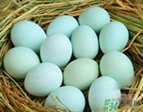 綠皮雞蛋是怎么回事？綠皮雞蛋的營養(yǎng)價值