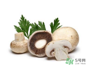 草菇怎么保存？新鮮草菇怎么保存？