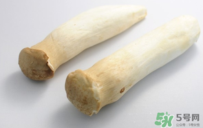 雞腿菇長白毛能吃嗎？雞腿菇怎么做好吃？