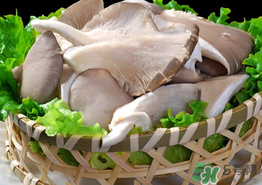 蘑菇可以放冰箱嗎？蘑菇放冰箱長毛了能吃嘛？