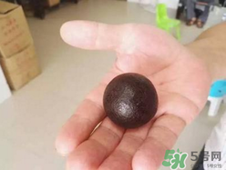 羊?qū)毷鞘裁?？羊?qū)殲槭裁催@么貴？