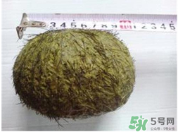 羊?qū)毷鞘裁矗垦驅(qū)殲槭裁催@么貴？