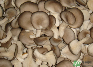 吃平菇有什么好處？平菇怎么做好吃？