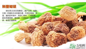 巴西蘑菇怎么吃？巴西蘑菇的作用與功效