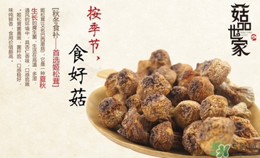 巴西蘑菇怎么吃？巴西蘑菇的作用與功效