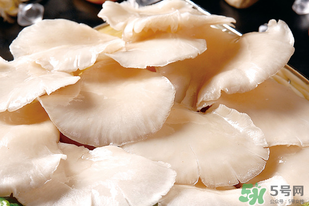 平菇怎么洗？平菇怎么洗才干凈？