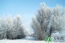 下雪天要打傘嗎？下雪天到底要不要打傘？