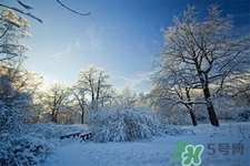 下雪天要打傘嗎？下雪天到底要不要打傘？