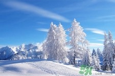 下雪天要打傘嗎？下雪天到底要不要打傘？