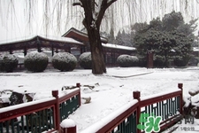 下雪高鐵會停運嗎？下雪天會影響高鐵嗎？